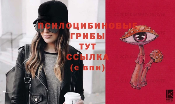 круглые Арсеньев