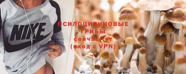 дмт Аркадак