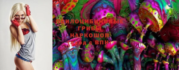 дмт Аркадак
