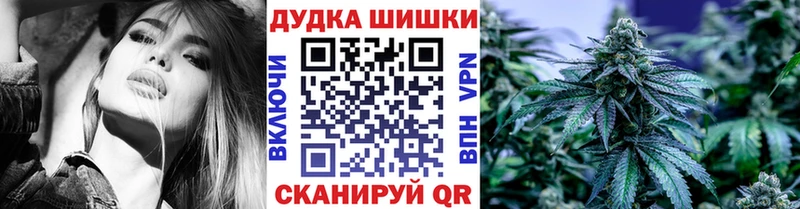 Купить закладки  Калуга  Каннабис индика 
